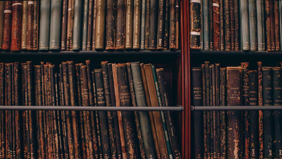 Australian booksellers warn AI book sourcing could put rare physical works at risk